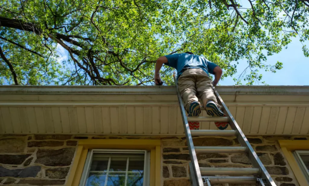 Spring Roof Checkup: 5 Tasks to Avoid Summer Disasters