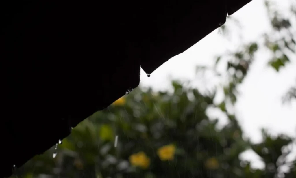 Tarp Over a Leak? Why It’s a Temporary Fix (And What to Do Next)
