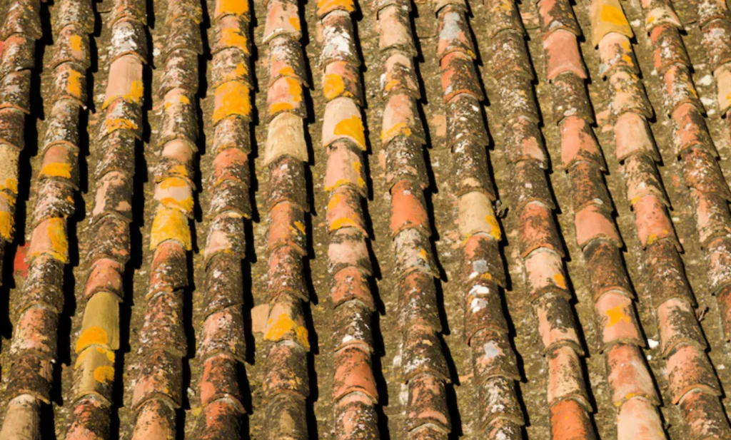 Recycling Your Old Roof: Can It Actually Save You Money?