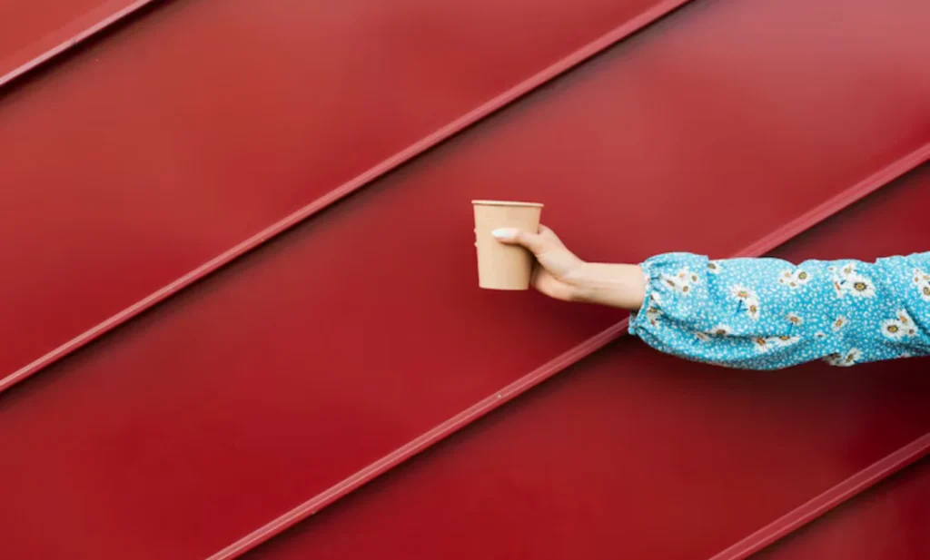 Leak-Proof Your Home: The 5 Most Vulnerable Roof Spots